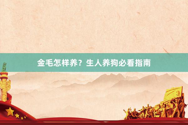 金毛怎样养？生人养狗必看指南