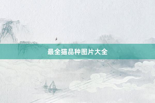 最全猫品种图片大全
